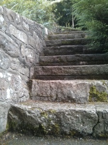Steps in the garden